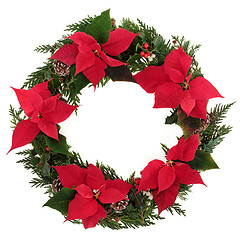 Image showing Christmas Poinsettia Wreath