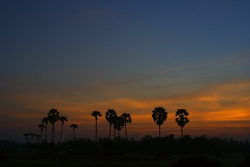 Image showing Sunset