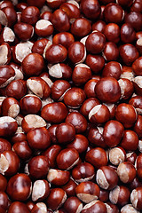 Image showing chestnuts