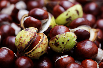 Image showing chestnuts