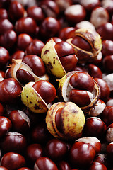 Image showing chestnuts