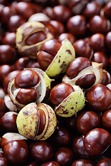 Image showing chestnuts