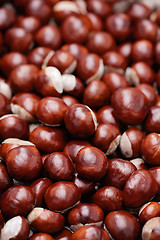 Image showing chestnuts