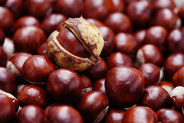 Image showing chestnuts