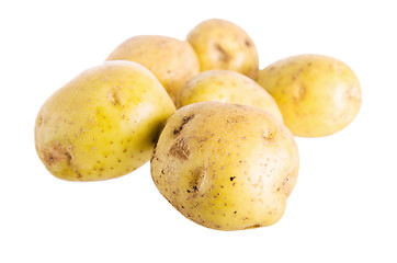 Image showing Tubers of a potato, it is isolated on white