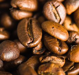 Image showing Roasted coffee beans, close-up