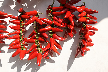 Image showing drying pepper bunches