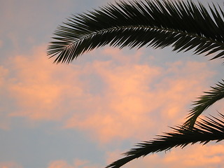 Image showing Colored sky early in the morning