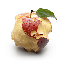 Image showing Apple with carved continents. America