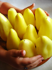 Image showing Hands embracing yellow pepper