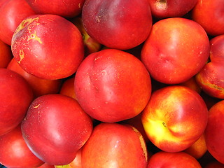 Image showing a lot of red nectarines