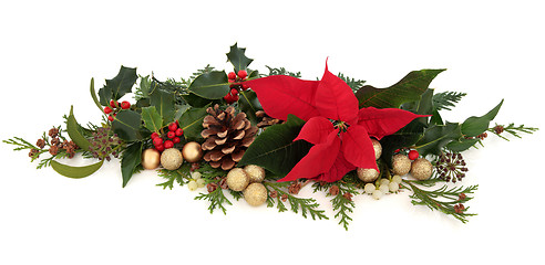 Image showing Poinsettia Floral Decoration