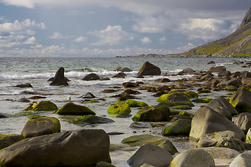 Image showing Boulders on the beach