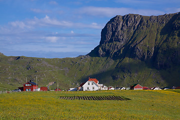 Image showing Village on Lofoten