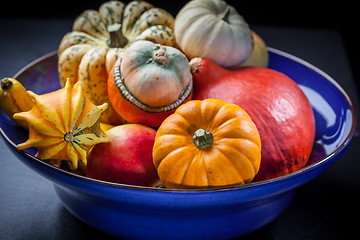 Image showing Pumpkins in the bowl