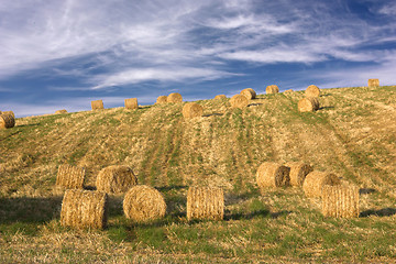 Image showing Hay bales