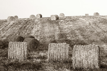 Image showing Hay bales