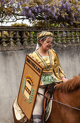 Image showing Coat of Arms Bearer from Brunelles