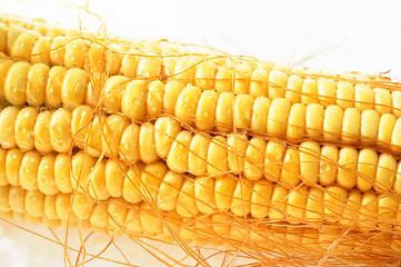 Image showing Macro view of corn cob