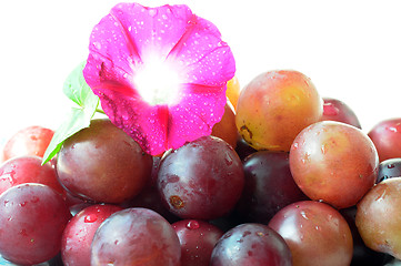 Image showing Grapes with a flower