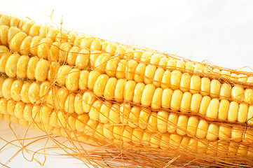 Image showing Macro view of corn cob