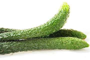 Image showing Cucumber