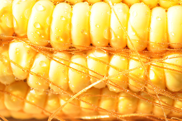 Image showing Macro view of corn cob