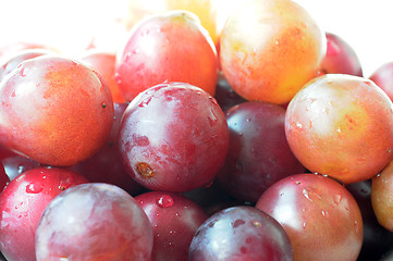 Image showing Grapes