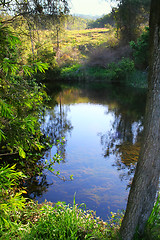 Image showing Calm Mountain Stream