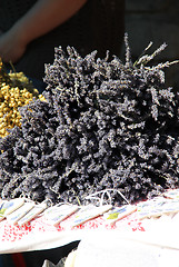 Image showing Lavender and dry herbs