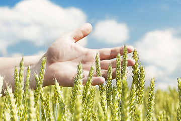 Image showing Hands near ears