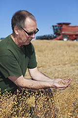 Image showing farmer holding flax seeds