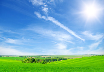 Image showing green field and blue sky