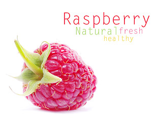 Image showing fresh raspberry