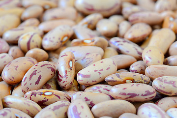 Image showing Close-up dry white beans on natural light