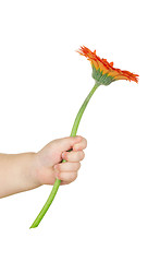 Image showing flower in hand