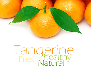 Image showing Tangerine