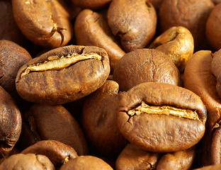 Image showing coffee beans