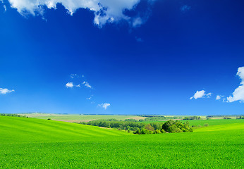 Image showing green field and blue sky