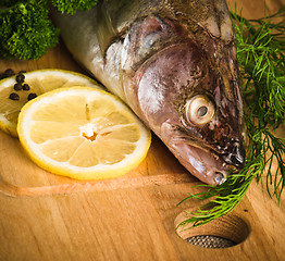 Image showing Pike perch on a wooden kitchen board