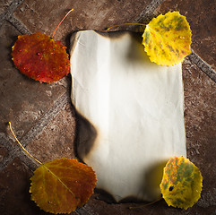 Image showing Autumn card of colored leafs