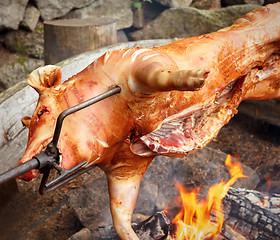 Image showing Piglet on the grill in outdoor