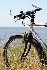 Image showing Bike in the grass.