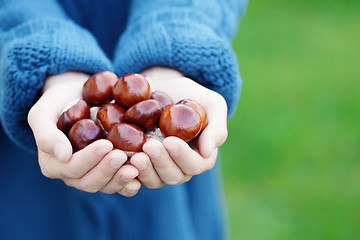 Image showing little hands with chestnuts