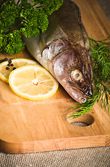 Image showing Pike perch on a wooden kitchen board 