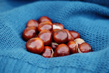 Image showing sweater with chestnuts