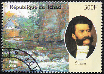 Image showing Strauss Stamp