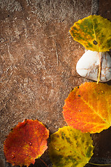 Image showing Autumn card of colored leafs