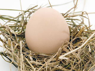 Image showing The egg is in nest of hey 