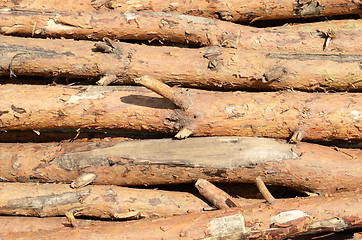 Image showing wooden logs